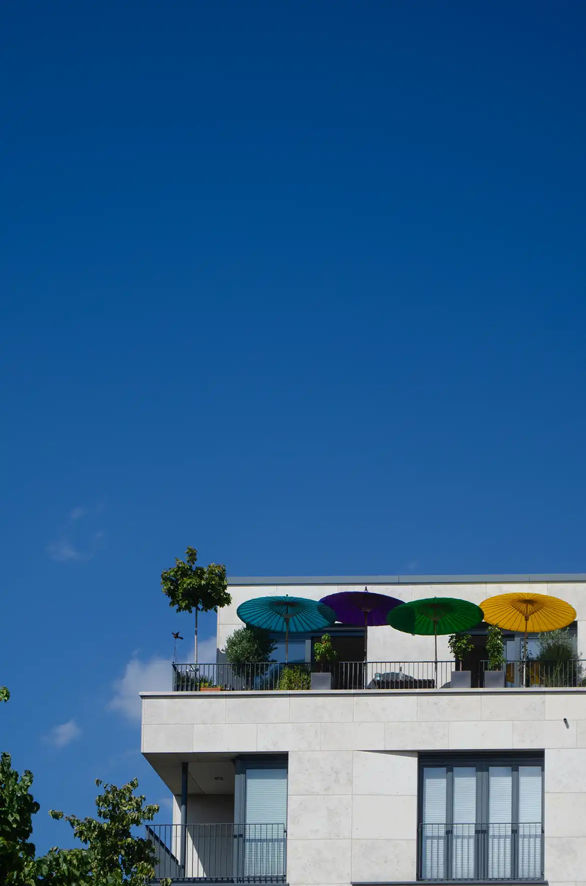 berlin/Berlin-046-3264 x 4928.webp
